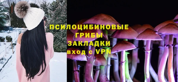 мет Гусев