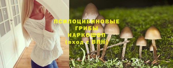мет Гусев